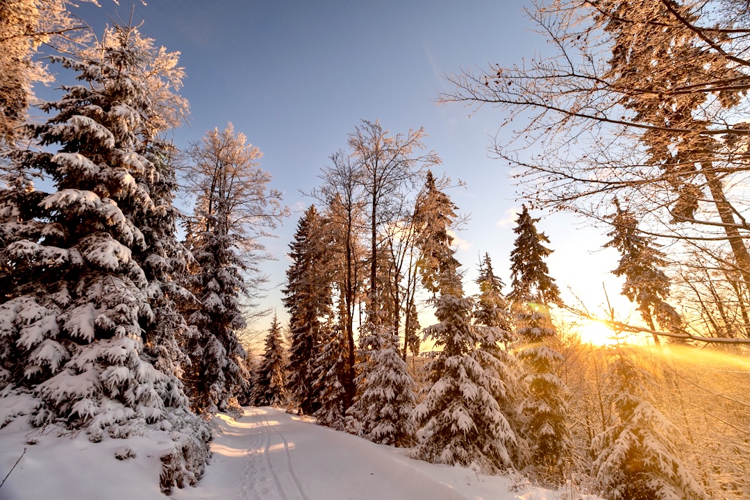 běžecké tratě, výlety