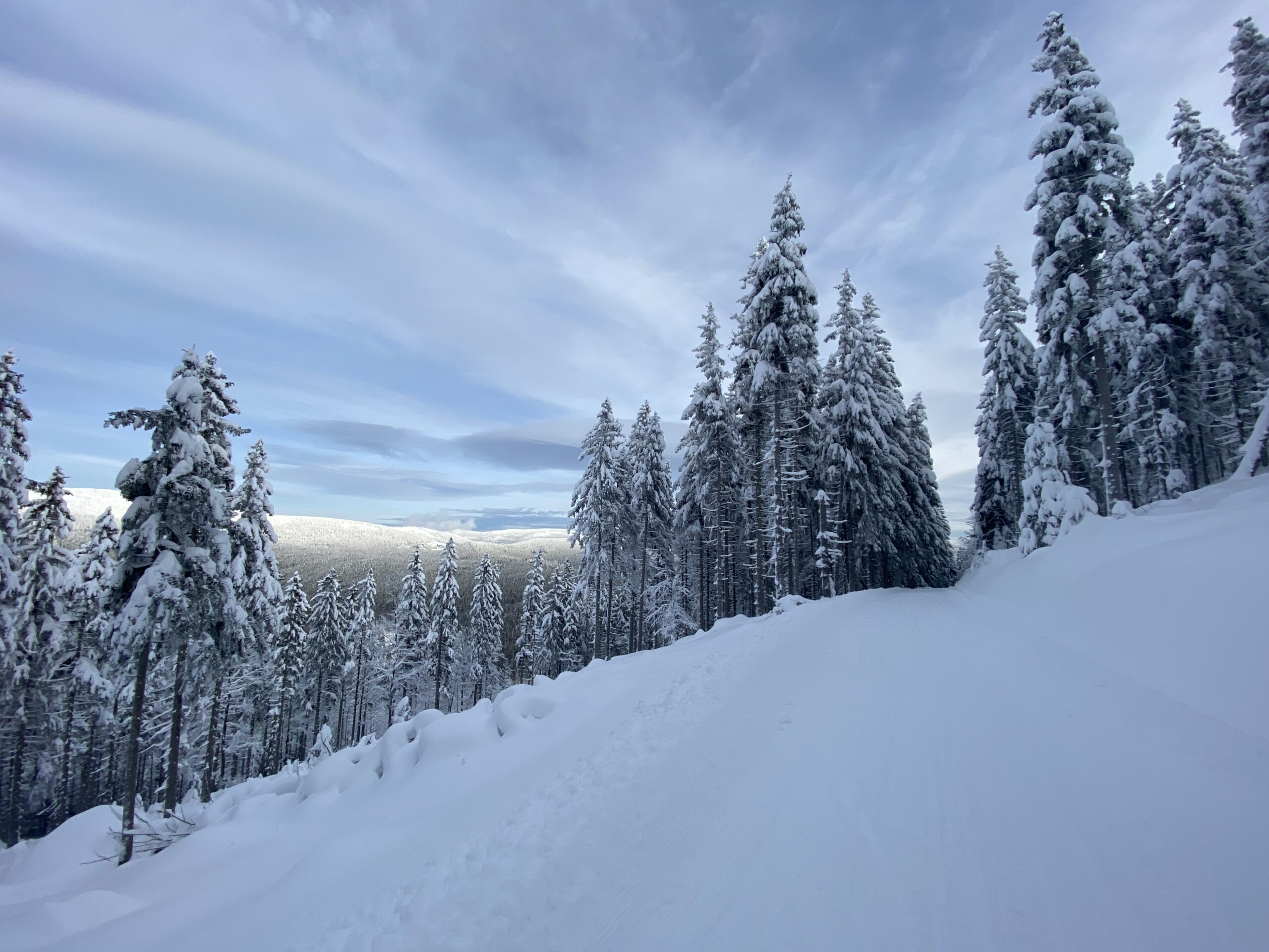 běžecké tratě, výlety
