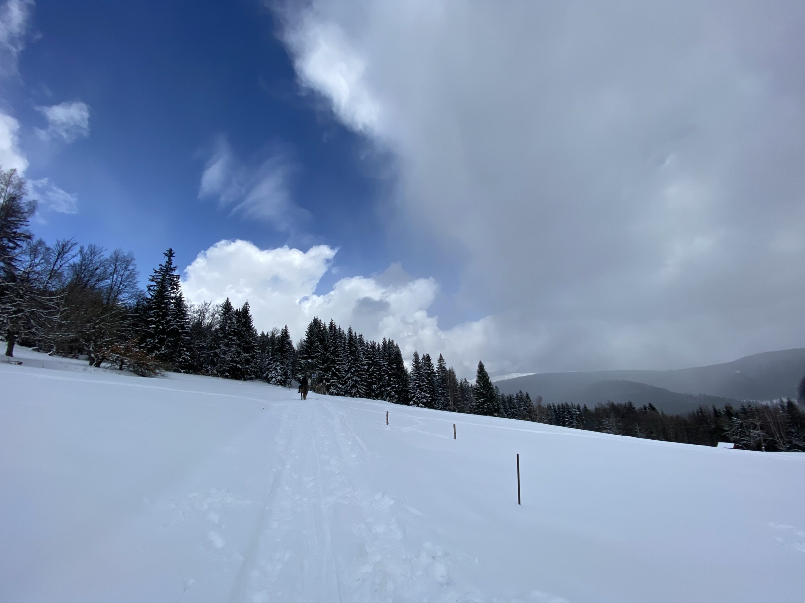 běžecké tratě, výlety